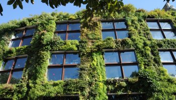 Biophilic offices enhance workplace experience and enforce sustainability management