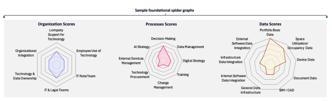 Graphic of FM maturity model overview