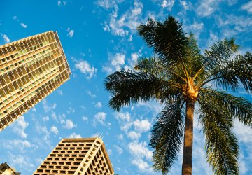 Tall building next to a palm tree with blue sky and sun.