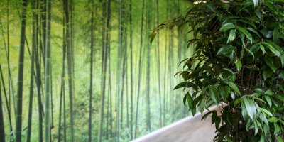 Improve sustainability in the workspace