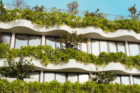 Building with green and healthy plants around its windows.