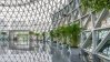 A dome building with glass windows and roof and green plants around.