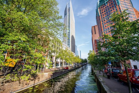 Tall buildings next to Dutch canals with trees