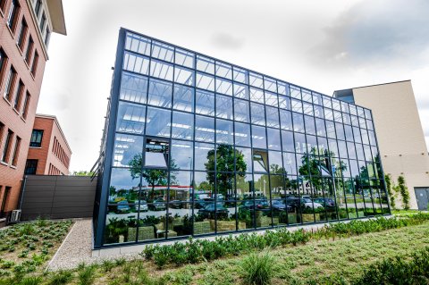 View on garden and greenhouse building.