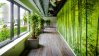 Building hallway with plants and green, sustainable wallpaper.