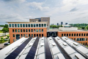 Rooftop with office buildings in the background.