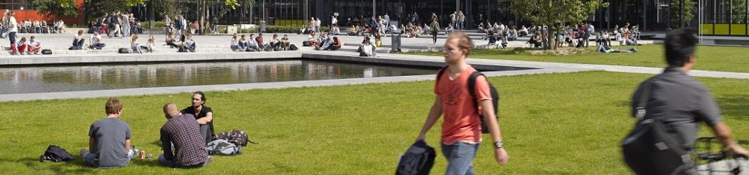 Lawn in front of a university with people relaxing in the sun.