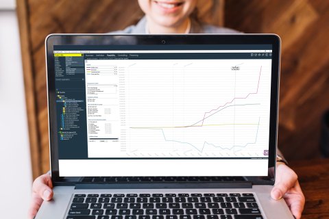 Software management gross cash flow graphic