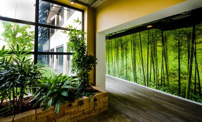 Building hallway with sustainable, green wallpaper and plants.