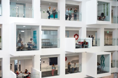 University balconies with glass windows.