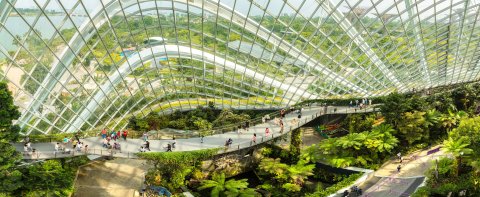 Walkway in greenhouse in Singapore