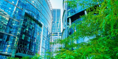 Modern building with windows next to a green tree.