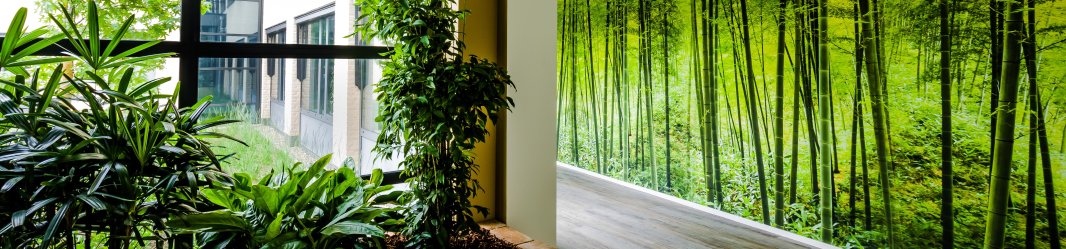 Building hallway with sustainable, green wallpaper and plants.